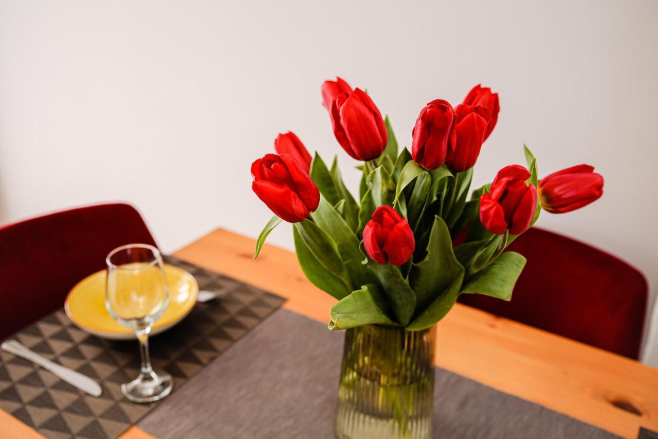 City Apartment Dorobantilor Kluż-Napoka Zewnętrze zdjęcie